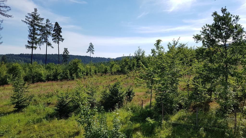 Hotel Penzion Na kraji lesa Valašské Meziříčí Exteriér fotografie