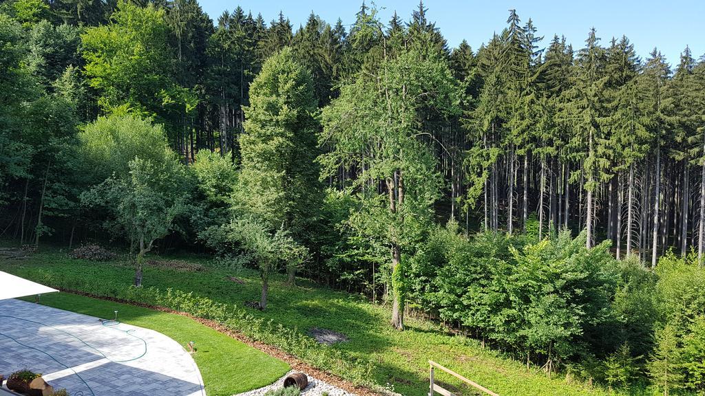 Hotel Penzion Na kraji lesa Valašské Meziříčí Exteriér fotografie